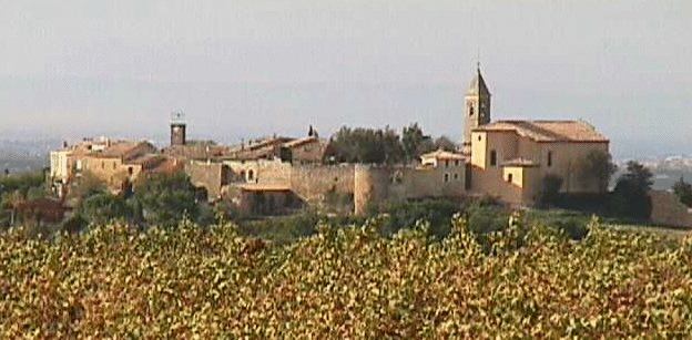 Rhone Cairanne w vines1.jpg